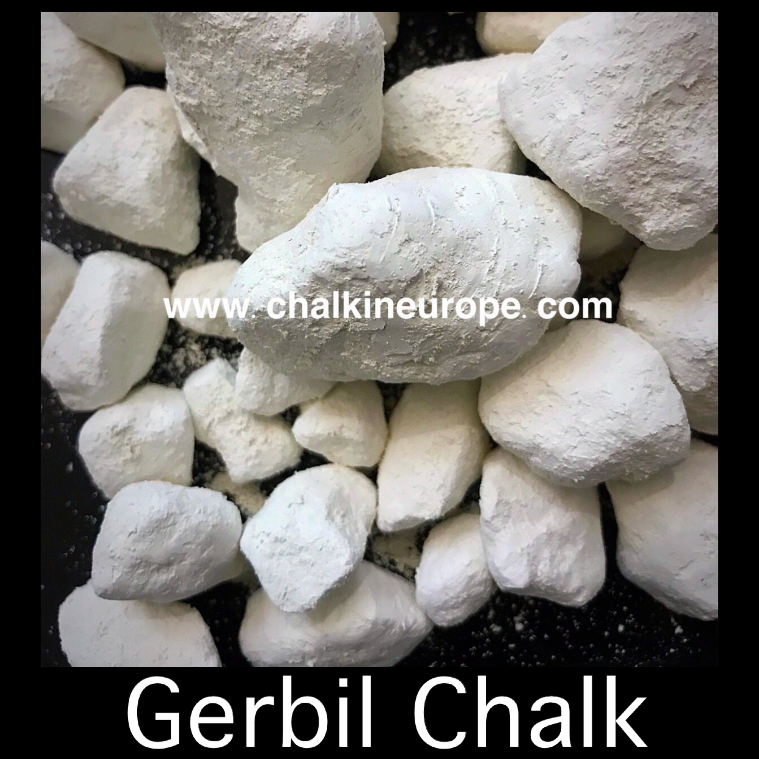 Gerbil Gesso - Chalkineurope